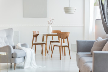 Grey armchair and sofa in trendy living room with white wall