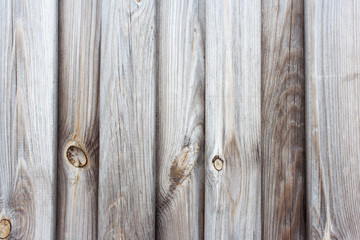 Gray wood texture with knots