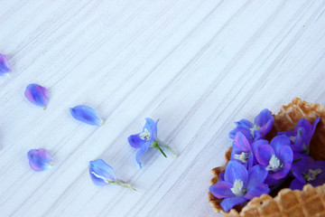 flowers in waffle cone on wooden background