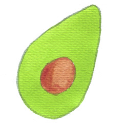 Delicious delicate green watercolor avocado, collected from the tree in hot summer. Hand drawn illustration