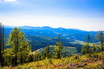 Beautiful summer landscape wint mountains
