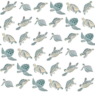 Seamless pattern with watercolor sea turtle on white background.Summer exotic print.