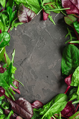 Fototapeta premium Healthy salad, leaves mix salad (mix micro greens, juicy snack, tomato). food background - Image