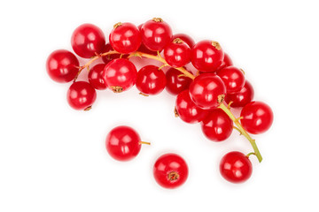 Red currant berry isolated on white background. Top view. Flat lay pattern