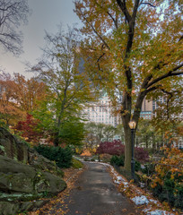 Autumn in Central Park