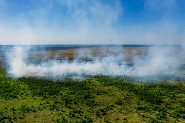 Wild fire in summer field with huge smoke from dry grass, aerial view