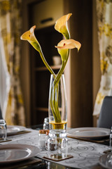 Golden and white Flowers in a glasss vase sit as decoration on a table
