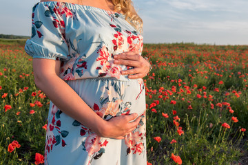 Pregnant young girl in the last month of pregnancy on the poppy field and supports the abdomen with...