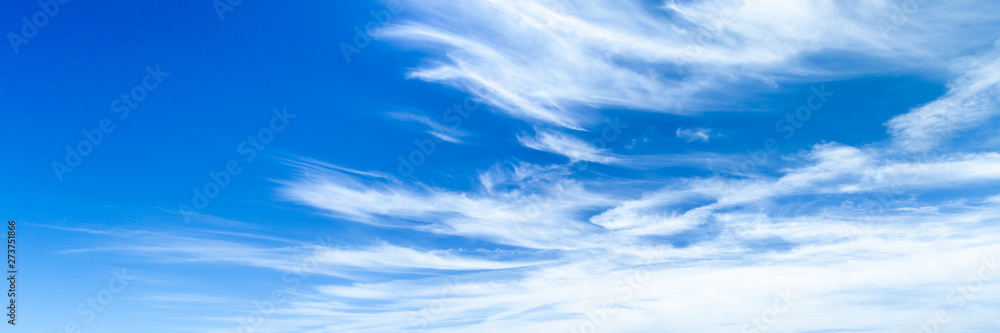 Wall mural banner of cirrus clouds with deep blue sky background