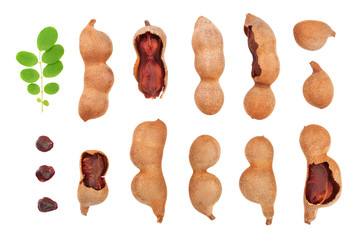 Tamarind fruit with leaf and seed isolated on white background, Top view. Flat lay. Set or collection