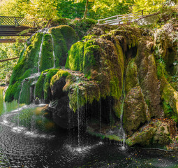 waterfall in forest