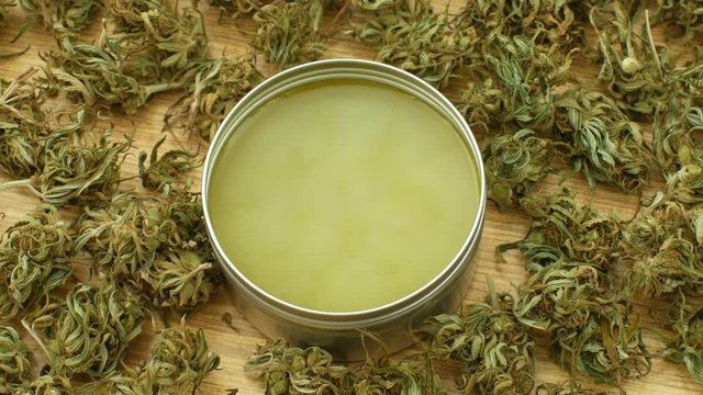 Cream medicinal cannabis hemp and cannabidiol CBD harvested dried of seeds quality for production of ointments, relieves pain, antibacterial and soothing, seeds big bud with pistils and stigmas