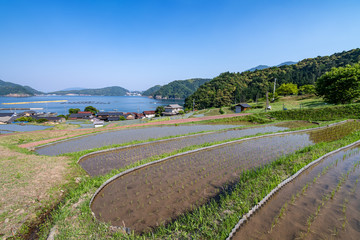日引の棚田