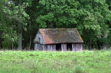 Obraz premium Abandoned shed in the woods
