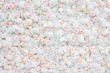 Flowers wall background with white and light orange roses. - Powered by Adobe