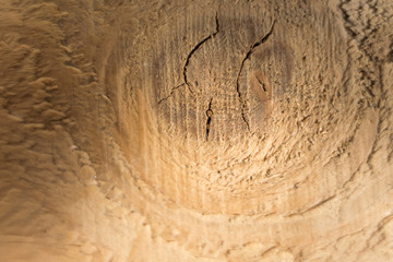 wood brown texture background close up