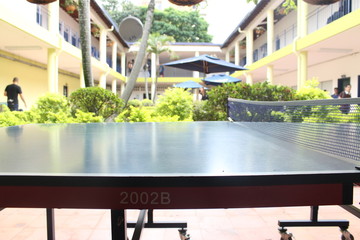  playing ping - pong