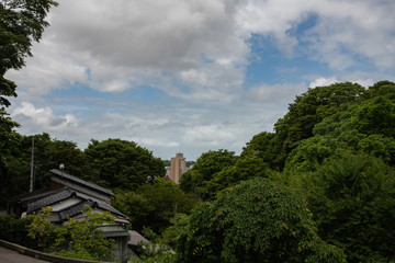 Obraz premium 花菖蒲園の風景