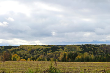 Fototapeta premium landscape