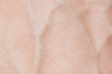 A fragment of the human body. Skin and veins
