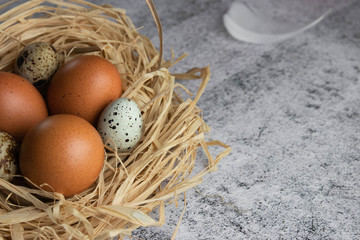 Chicken eggs in a nest of hay close-up on a light concrete background. Copy space. Agriculture