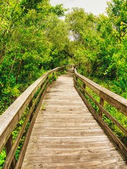 Fototapeta premium A wooden footpath for walking around the garden