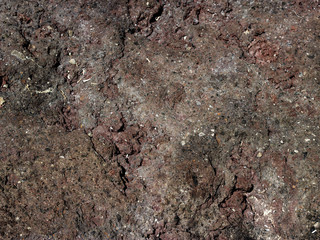 Lava volcanic texture background with dust sand sandstone shell rock small holes