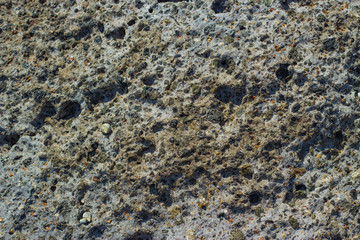 Lava volcanic texture background with dust sand sandstone shell rock small holes