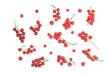 Set of red currants isolated on white background. Top view