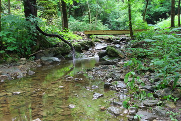 Indian Village Canyon, Columbus, Ohio