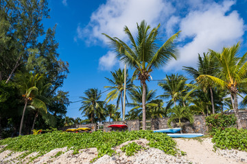 Fototapeta premium Beach, Mauritius