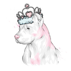Pedigree dog. Pitbull. A beautiful puppy in a crown. Vector illustration.