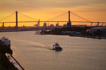 The Sydney Lanier Bridge across the Savannah River