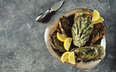Closed oysters in nickel silver dish with lemon and champagne. Top view.  Copy space. 