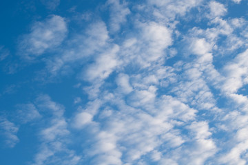 Obraz premium 空に浮かぶ白い雲