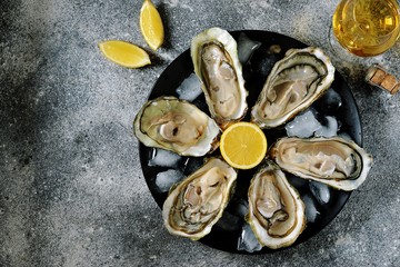 Open fresh oysters with lemon slices on a dish with ice cubes. Top view. 