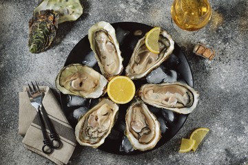 Open fresh oysters with lemon slices on a dish with ice cubes. Top view. 