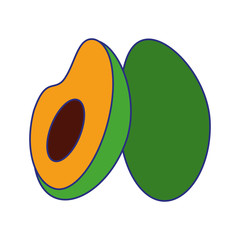 Fresh avocado half cut vegetable isolated blue lines