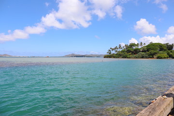 Fototapeta premium ハワイ オアフ島 ターコイズブルーの海と青空の風景
