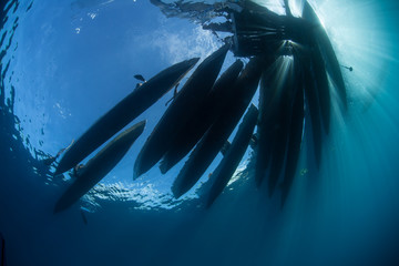 Bright sunlight silhouettes dugout canoes in the Solomon Islands. Remote island villagers use these...