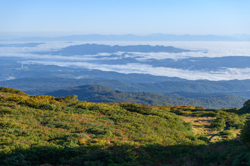 Fototapeta premium 祓川から鳥海山に向かう登山道から見た朝の展望