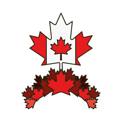 Maple leaf flag and canada symbol design