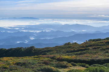Fototapeta premium 祓川から鳥海山に向かう登山道から見た朝の展望