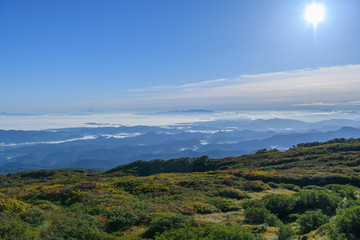 祓川から鳥海山に向かう登山道から見た朝の展望