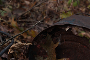 rusted tin can among autumn leaves in the forest