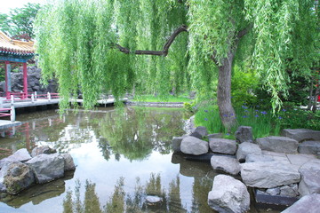 中国庭園