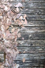 Dry brown fallen leaves on dirty wooden floor vertical background
