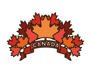 Maple leaf and canada symbol design