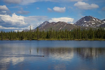 View of snow capped mountain during summer, with reflection in river. 