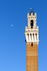 Obraz premium Torre del Mangia in Sienna, Tuscany, Italy with a full moon in the background
